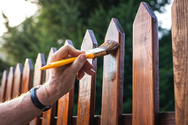 Exterior Fence Painting