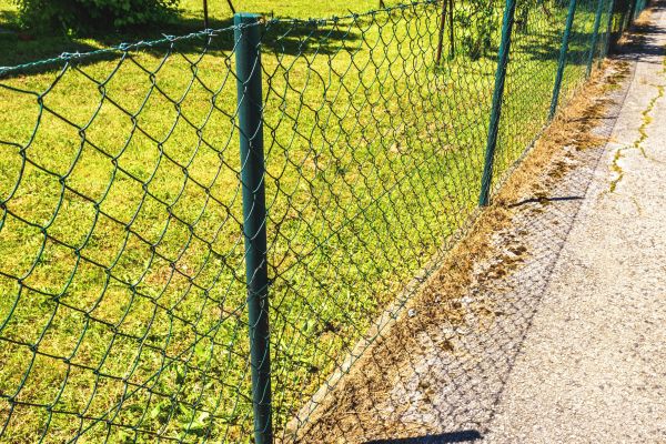 Chain Link Fence Painting