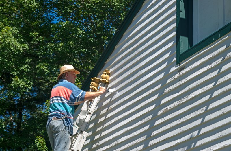 Siding Painting Service detail