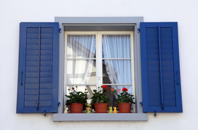 Window Shutters Painting